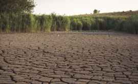 Din cauza secetei iazul din satul Rădeni a secat VIDEO
