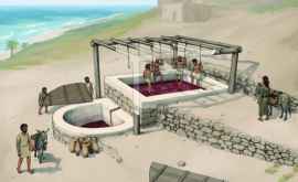 В Ливане найдена древнейшая винодельня Средиземноморья ФОТО