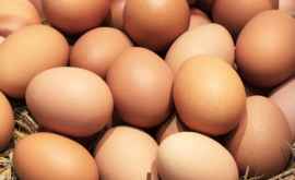 Какой продукт может стать заменой куриному яйцу