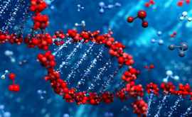 O genă preistorică din ADNul uman ar putea fi vinovată pentru cazurile foarte grave de Covid19