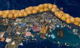 Un dispozitiv care va curăța oceanul de petele de gunoi