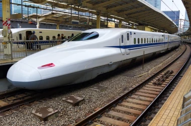 В Японии из-за змеи задержался поезд