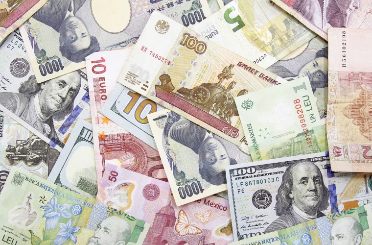 Cursul valutar BNM pentru 29 martie