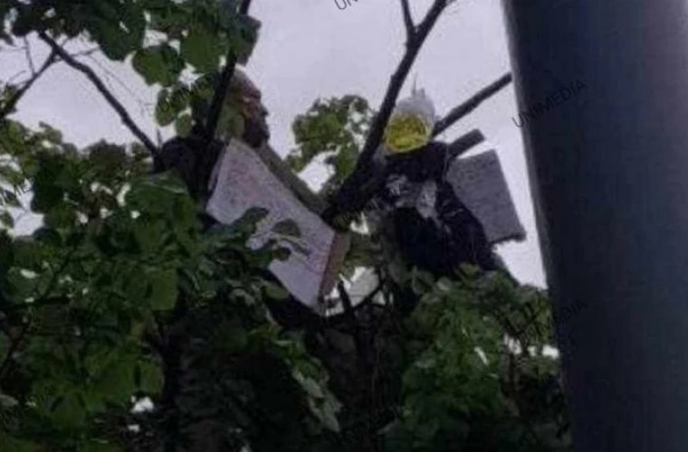 Bărbatul care a urcat întrun copac la Parlament figurant al unei cauze penale