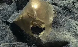 Un ou de aur ciudat găsit pe fundul Oceanului Pacific