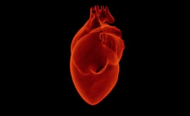 Треть смертей от болезней сердца и сосудов связали с нездоровым питанием