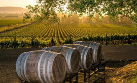 Top20 de state cu cea mai mare creştere a producţiei de vin ce loc ocupă Moldova
