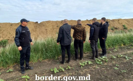 Nereguli înregistrate de polițiștii de frontieră din Larga
