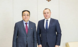 Батрынча встретился с послом Китая в Молдове