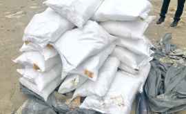 Două tone de sare păstrată în condiții antisanitare depistată la o întreprindere