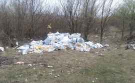 Pădurea din Bubuieci plină de gunoi chiar și pe timp de pandemie