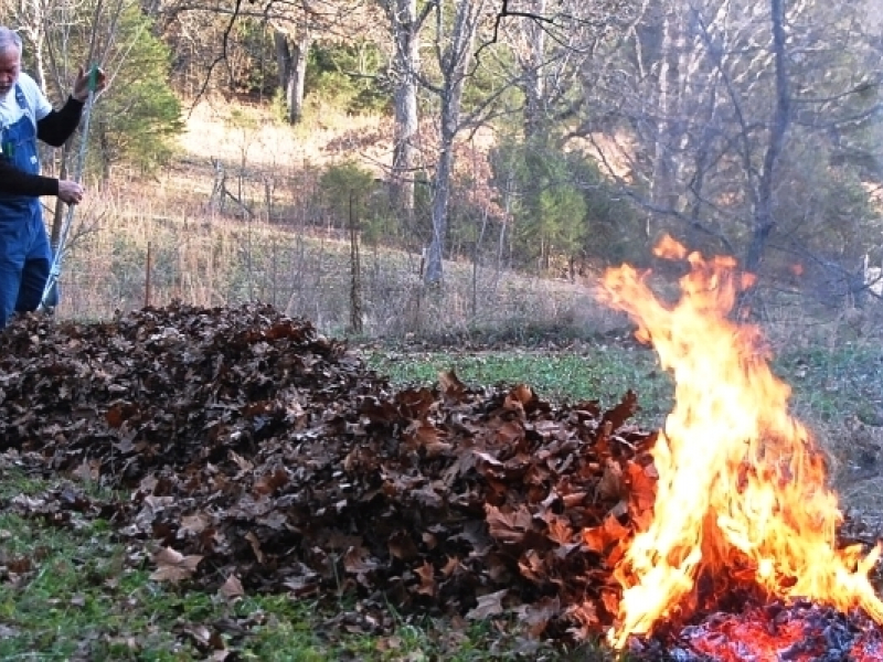 Сжигание веток. Сжигание сухой травы на участке. Жечь траву на участке. Сжигание листвы.