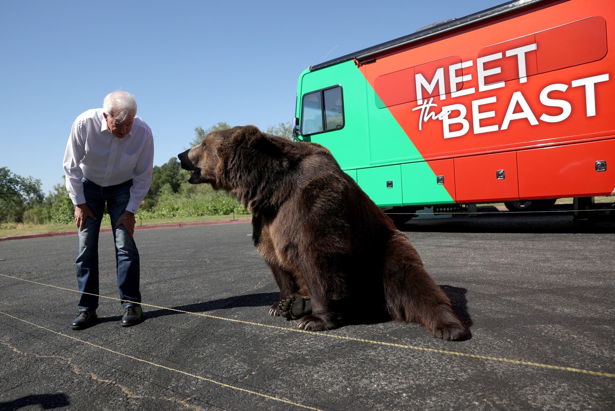 Видео собака привела медведей. Kodiak Bear Bear змея. Youtube собака привела медведей.