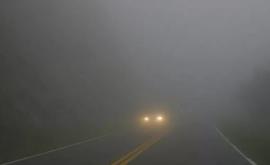 Рекомендации полиции о вождении во время тумана