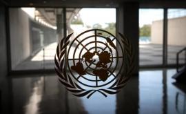 Мировая торговля восстанавливается медленно перспективы неопределенные доклад ООН