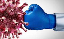 ВОЗ Иммунитет к новому коронавирусу может сохраняться семь месяцев