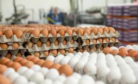 Moldova a crescut importul de produse lactate cereale și ouă