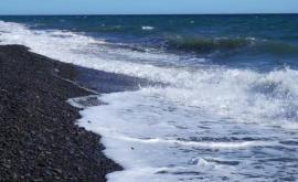 Marea Laptev întîrzie să îngheţe pentru prima dată în istorie