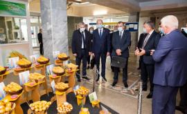 Правительство намерено восстановить семеноводческую отрасль в Молдове