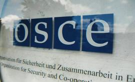 Vicepremierul Cristina Lesnic a avut o întrevedere cu șeful Misiunii OSCE