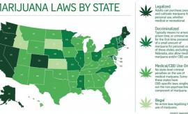 Еще четыре штата США легализуют марихуану