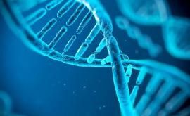 Новое открытие связанное с ДНК