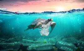 În oceane există de milioane de ori mai mult microplastic decît se credea