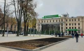 Генпримар и сотрудники примэрии посадили деревья в сквере Михай Эминеску