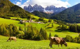 Găgăuzia va semna un Acord de cooperare cu Tirolul de Sud