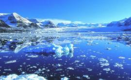 Arctica continuă să înregistreze temperaturi record