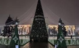 Сезон зимних праздников объявлен открытым Как выглядит елка на ПВНС
