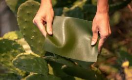 Mănuși de piele din cactus