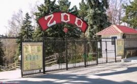 Животные в Кишиневском зоопарке подготовлены к зиме