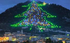 Cel mai mare pom de Crăciun din lume şia aprins luminiţele