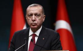 Эрдоган утверждает что Путин поддержал идею Баку о создании платформы по безопасности