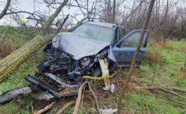 Un șofer a pierdut contolul mașinii și sa izbit puternic întrun copac 