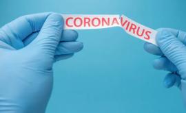 O echipă de cercetători merge în Wuhan pentru a reconstrui originile coronavirusului