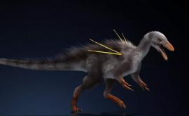Палеонтологи нашли двуногого динозавра размером с курицу