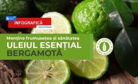 Uleiul esențial de bergamotă Beneficii și proprietăți INFOGRAFICĂ