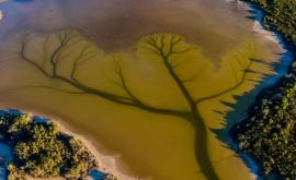 Фотографлюбитель нашел фантастическое озеро в Австралии