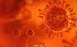 În Danemarca a fost descoperit primul caz de infectare cu noua tulpină de coronavirus
