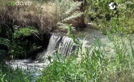 Здоровье реки Бык приоритет для Ecodava