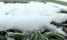 Сильный мороз не повлиял на сельскохозяйственные культуры