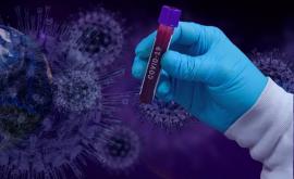 В Испании готовят лекарство которое может дать немедленный иммунитет против вируса