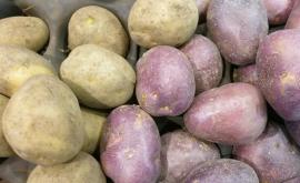 Prețurile la cartofi și morcovi sau micșorat din cauza stocurilor mari