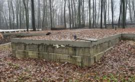 Что говорит Минсельхоз о бетонной конструкции в лесу Дурлешт