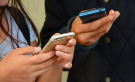 Сколько телефонных номеров были перенесены в мобильных и фиксированных сетях Молдовы