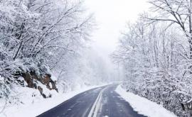 Два молдавских автобуса с пассажирами застряли в снегу на Украине 