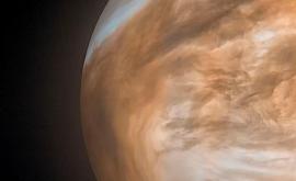 Разгадана загадка следов жизни на Венере