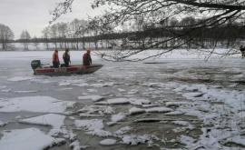 В Польше спасают стадо оленей провалившихся под лед